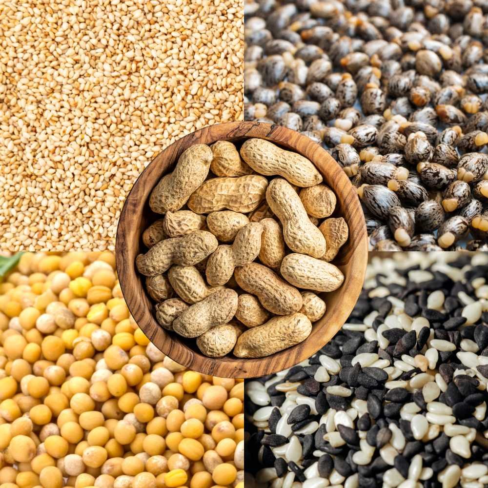 Agricultural Products Export